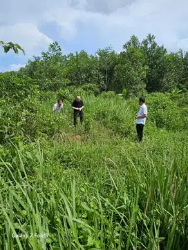 Di Jual Tanah Raya Rangkasbitung Cileles.