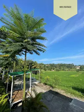 Dijual Tanah & Bangunan ex-Resto & Cafe dengan Pemandangan Alam Indah