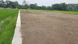 Kavling premium dekat kampus IPB & Terminal Lalado-Sisa 1 Unit SHM