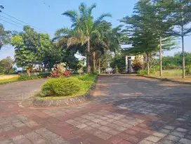 tanah strategis selangkah dari kampus UIN 3 malang