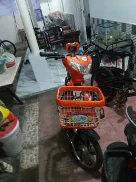 Sepeda listrik merk D bike