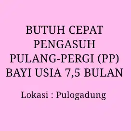 DICARI PENGASUH BAYI USIA 7 BULAN (PULANG-PERGI)