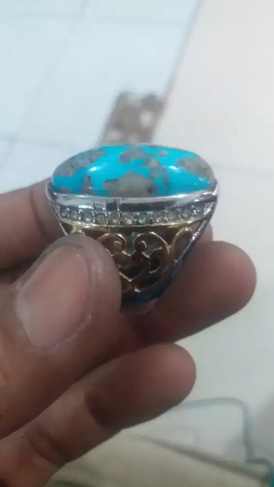 Pirus persia badar perak