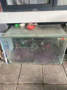 Dijual cepat aquarium