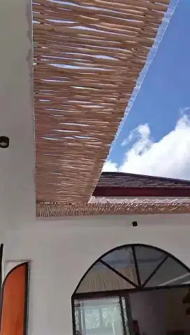 KAYU GALAM SUPER MURAH