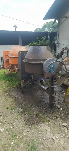 Molen cor tiger