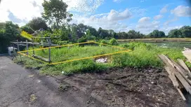 Jarang Ada! Kedungu 1,3 Are Full View Sawah