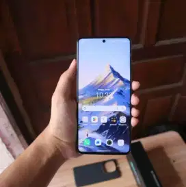 Iqoo neo 10 8/256