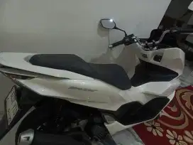 Honda New PCX 160 Pajek Idup Panjang