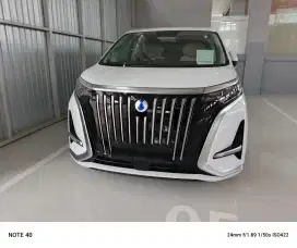 DENZA 2025 ARCTIC WHITE