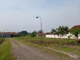 Tanah Kavling 158m, Sakura Dramaga Bogor- Investasi menjanjikan