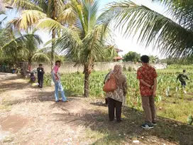 Kavling Eksklusif Sakura Dramaga dekat Terminal Laladon, SHM Pecah