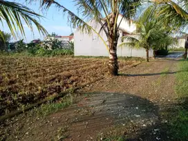 Tersisa 1 unit Kavling Best seller di Dramaga Bogor dekat Kampus IP