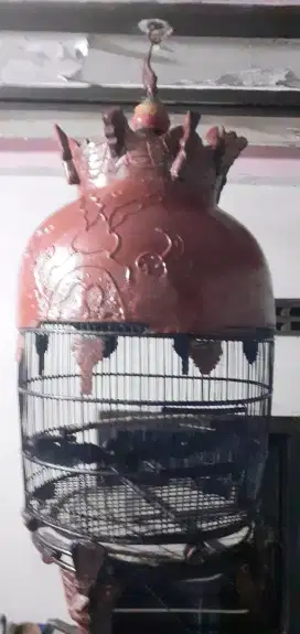 Sangkar burung perkutut