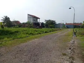 Kavling Sakura Dramaga Bisa Cicil 12X tanpa bunga, dekat IPB Bogor