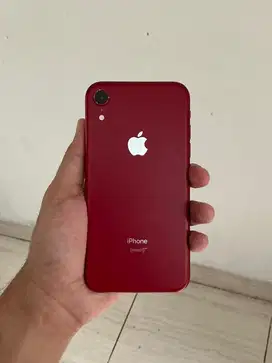 iPhone XR 128 Gb ex ibox Mulusss
