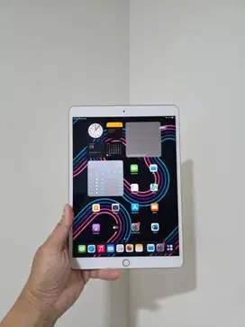 Apple iPad Air 3 256GB 256 GB Wifi Only Ex Resmi iBox 2019 Bypass