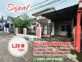 Rumah Dekat Kampus UNDIP Cocok Untuk Investasi