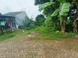 Tanah Kapling Murah Dekat UNDIP