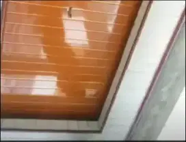 Jsa pelsangan *plafon pvc*plafon gipsum.*kanopi baja ringan dll.