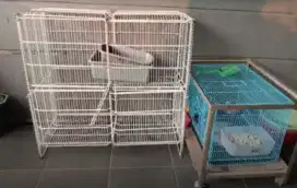 Dijual kandang kucing bekas