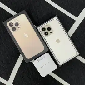 iPhone 13 Pro Gold 256 GB Inter