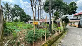 Tanah Talang ratu palembang km5