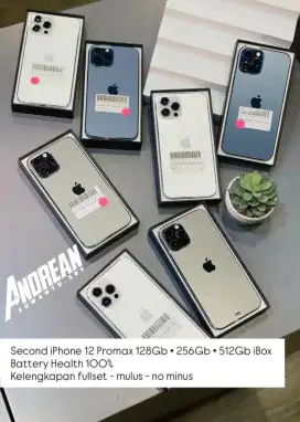Iphone 12 promax all capacity