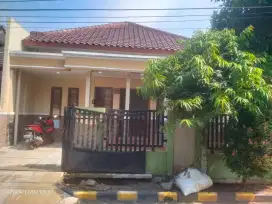 Rumah pribadi disewakan/dikontrak kan  per tahun.cocok untuk keluarga