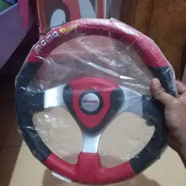 Stiur Momo racing