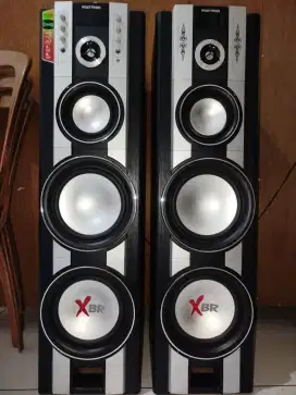 Speaker Polytron