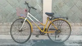 Dijual cepat Sepeda Polygon