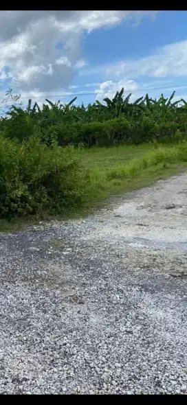 Di jual tanah strategis jalan Kediri ,Tabanan, Bali