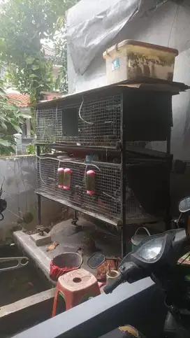 Kandang kelinci galvanis 50x50 6 sekat