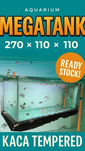 aquarium Mega Tank
