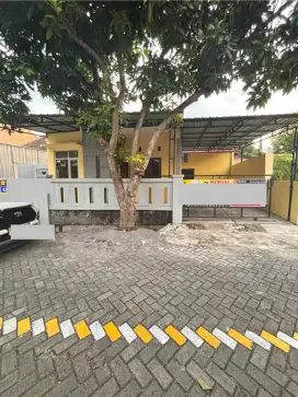 RUMAH BARU RENOV DI SEWAKAN