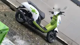 Scoopy donat 2017