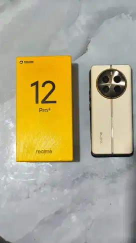 Realme 12 Pro Plus 5G 8/256