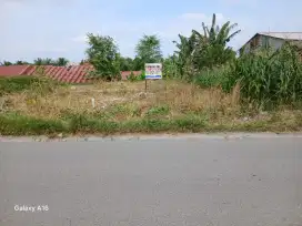 Tanah Kavling Dijual Cepat
