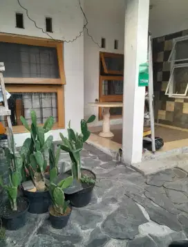 Dkt Bantarjati Indraprasta