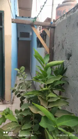 Disewakan Rumah Petak Tahunan di Cililitan