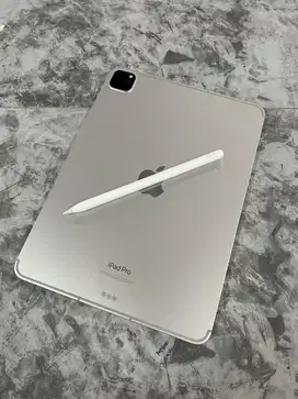 Ipad pro M2 256gb celullar 11 inch