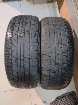Ban Bridgestone Potenza 185 55 R15