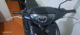 MIO KARBU MULUSSSSS