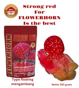 PELET pakan strong red ikan louhan 100 gr