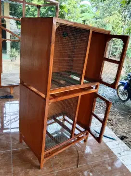 Box anak ayam..