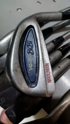 Stck golf ledis