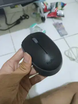 Mouse Logitech M170