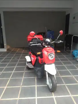 Selis New Robin