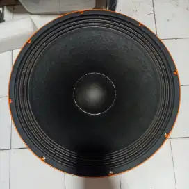 Jual 2 Unit Speaker Ashley Orange 184A 18In Masih Bagus dan baru.